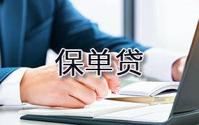 山南保单贷