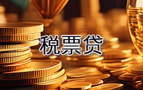 山南税票贷